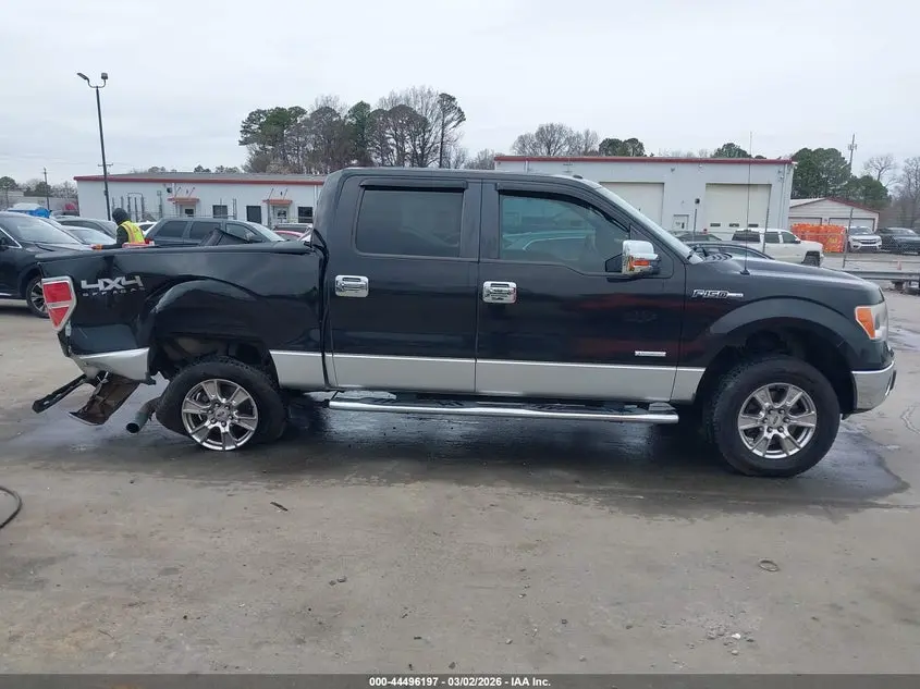 2013 FORD F-150 XLT