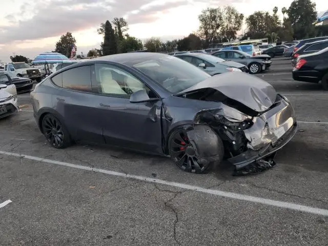 2023 TESLA MODEL Y   