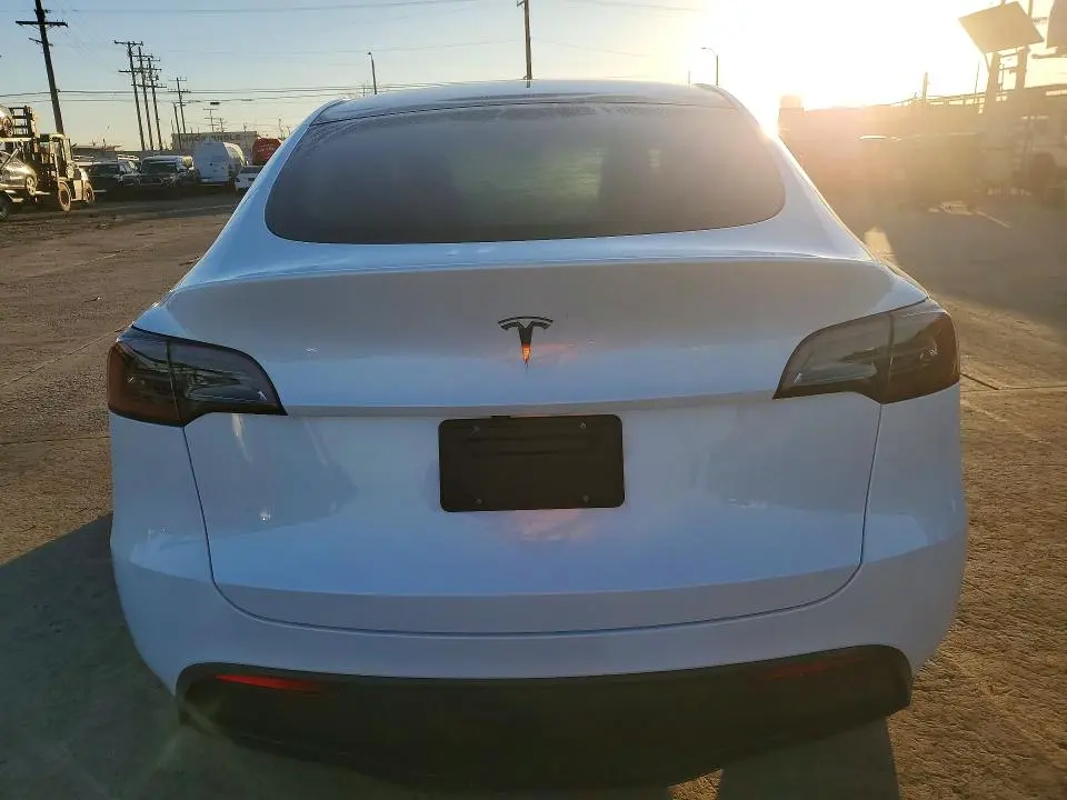 2025 TESLA MODEL Y   