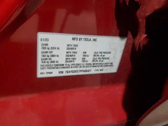2023 TESLA MODEL Y   