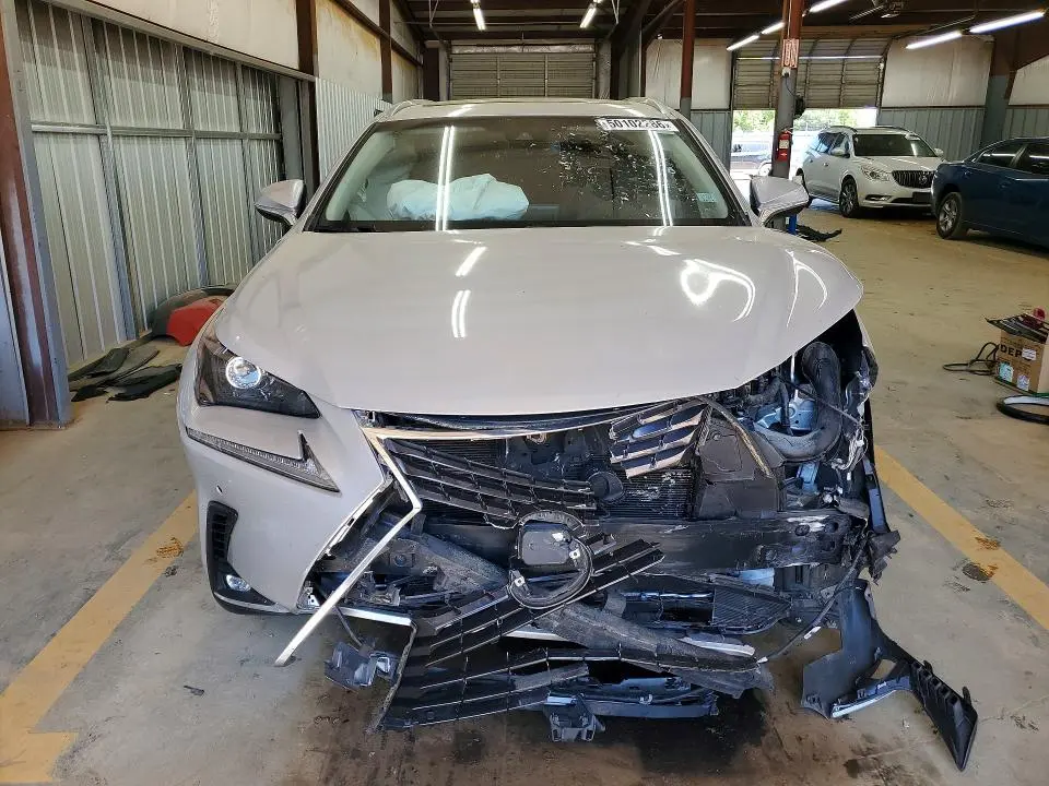 2019 LEXUS NX 300H  