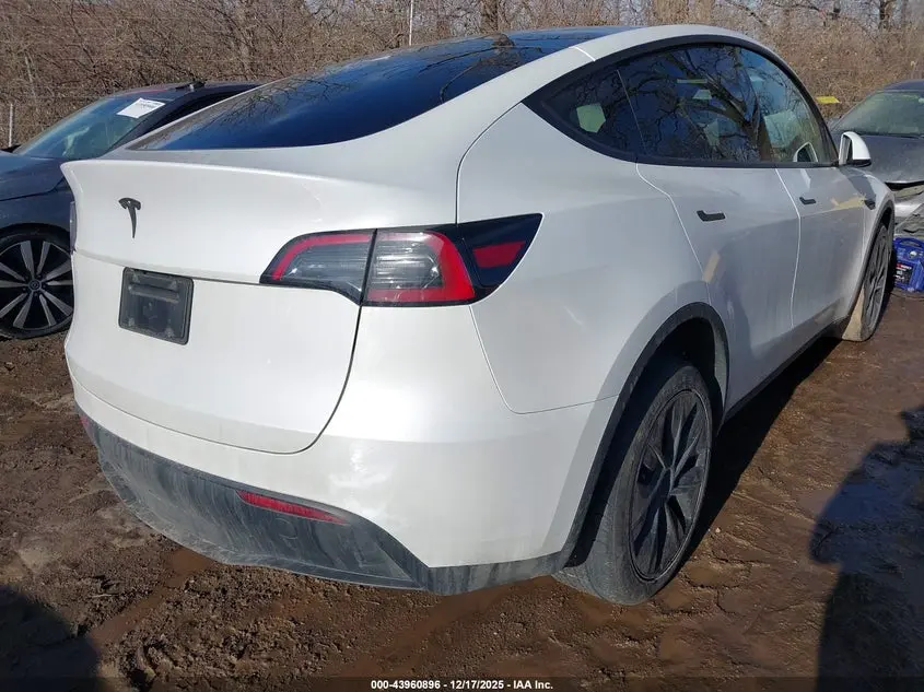 2024 TESLA MODEL Y RWD