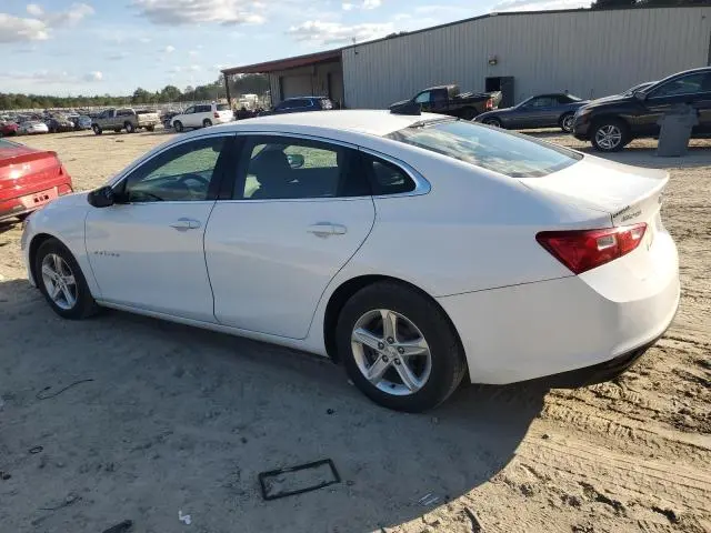 2019 CHEVROLET MALIBU LS  
