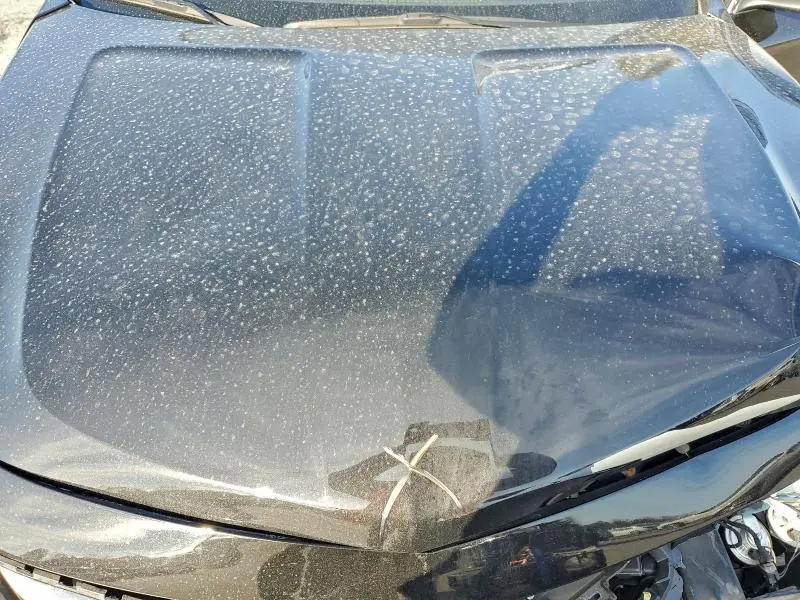 2019 CHEVROLET IMPALA PREMIER  