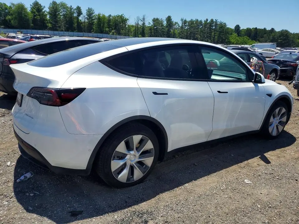2021 TESLA MODEL Y   