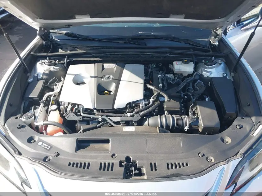 2019 LEXUS ES 300H  