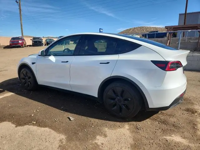 2025 TESLA MODEL Y   