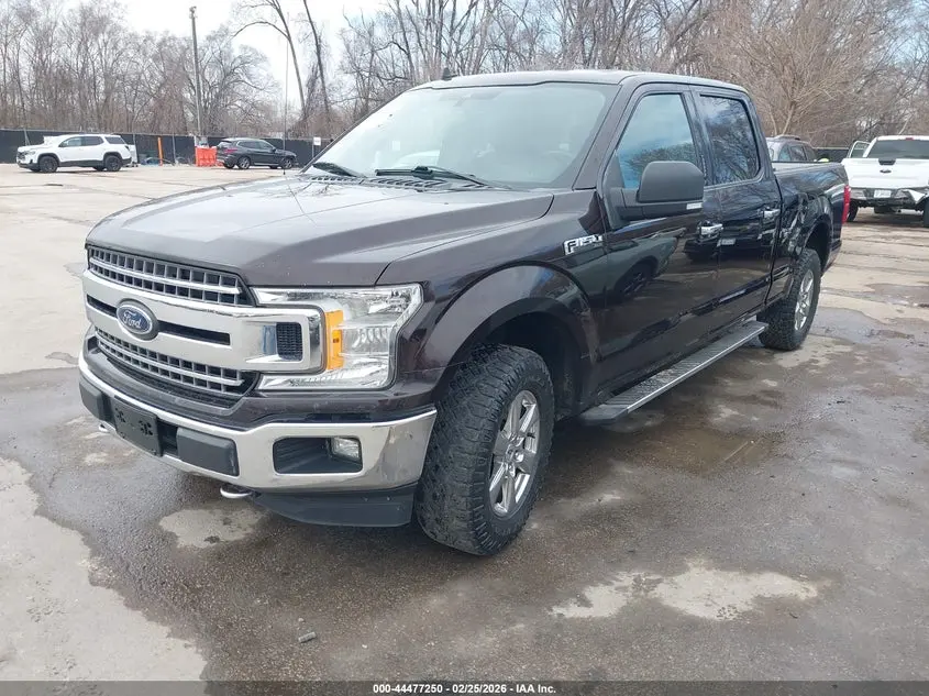 2019 FORD F-150 XLT