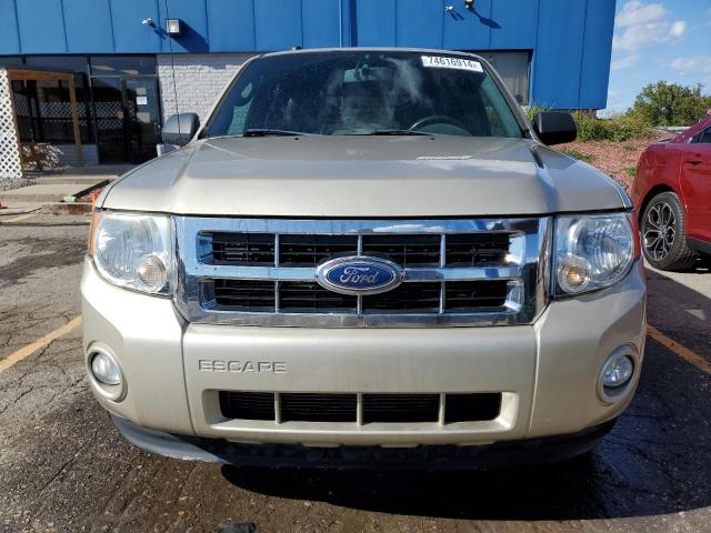 2011 FORD ESCAPE XLT