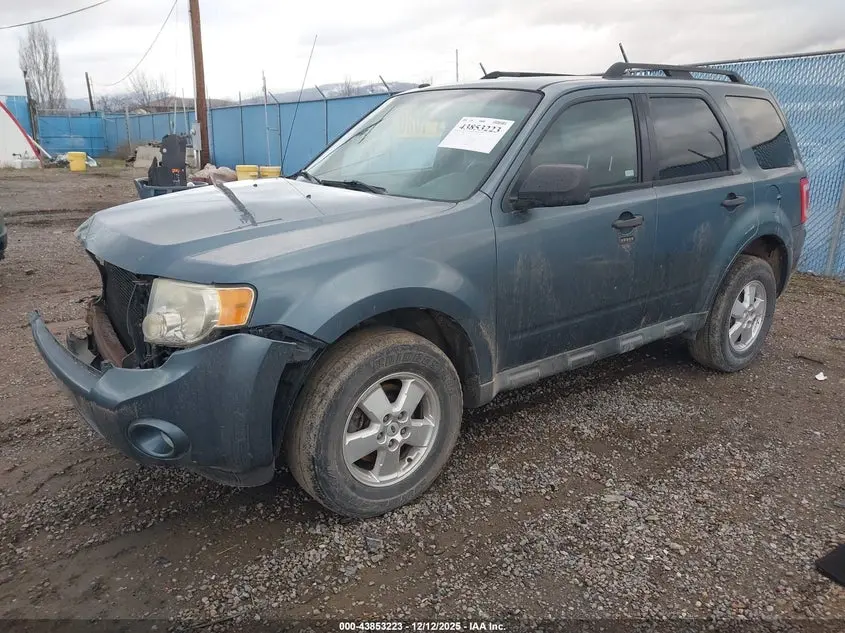 2010 FORD ESCAPE XLT