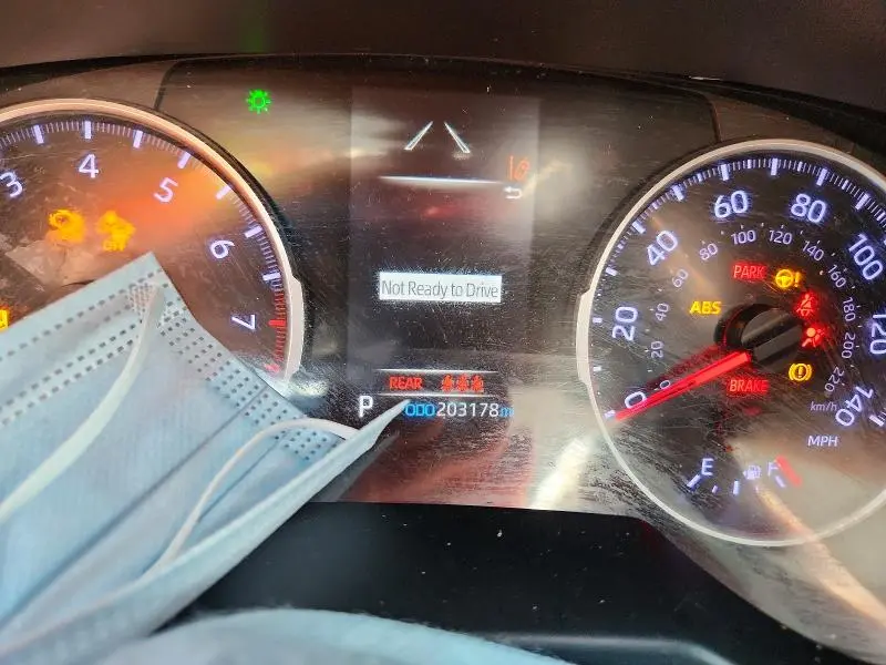 2019 TOYOTA RAV4 LE  