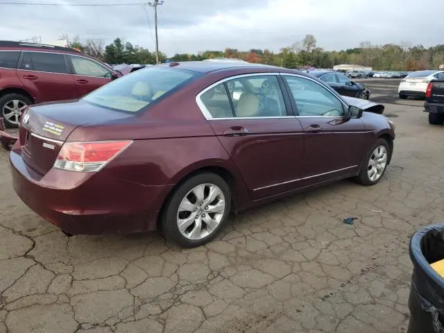 2010 HONDA ACCORD EXL  
