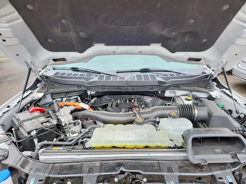 2025 FORD F150 XLT  