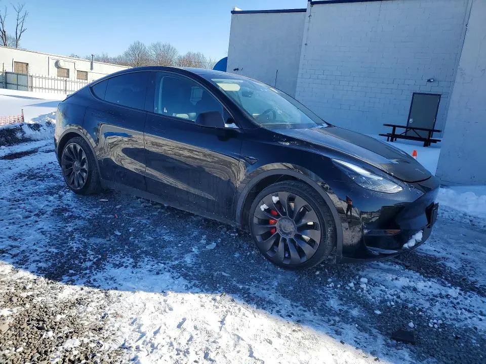 2023 TESLA MODEL Y   