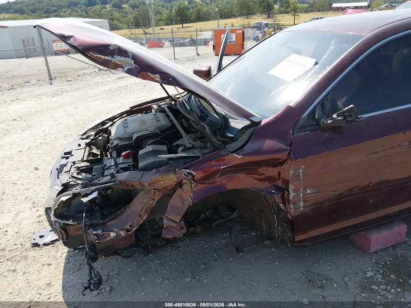 2013 HONDA ACCORD EX-L V-6