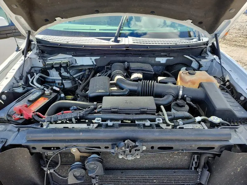 2010 FORD F150 4WD   