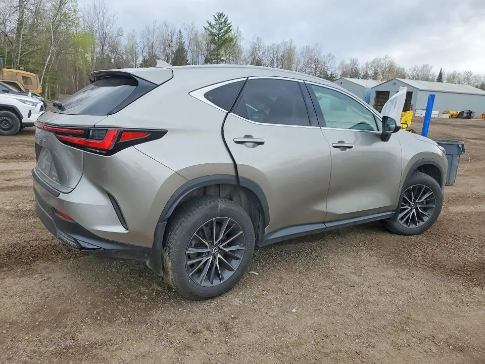 2024 LEXUS NX 350H PREMIUM  