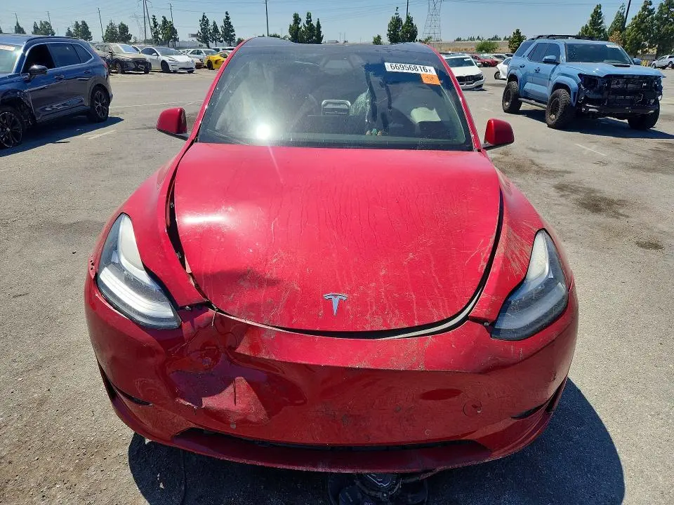2021 TESLA MODEL Y   
