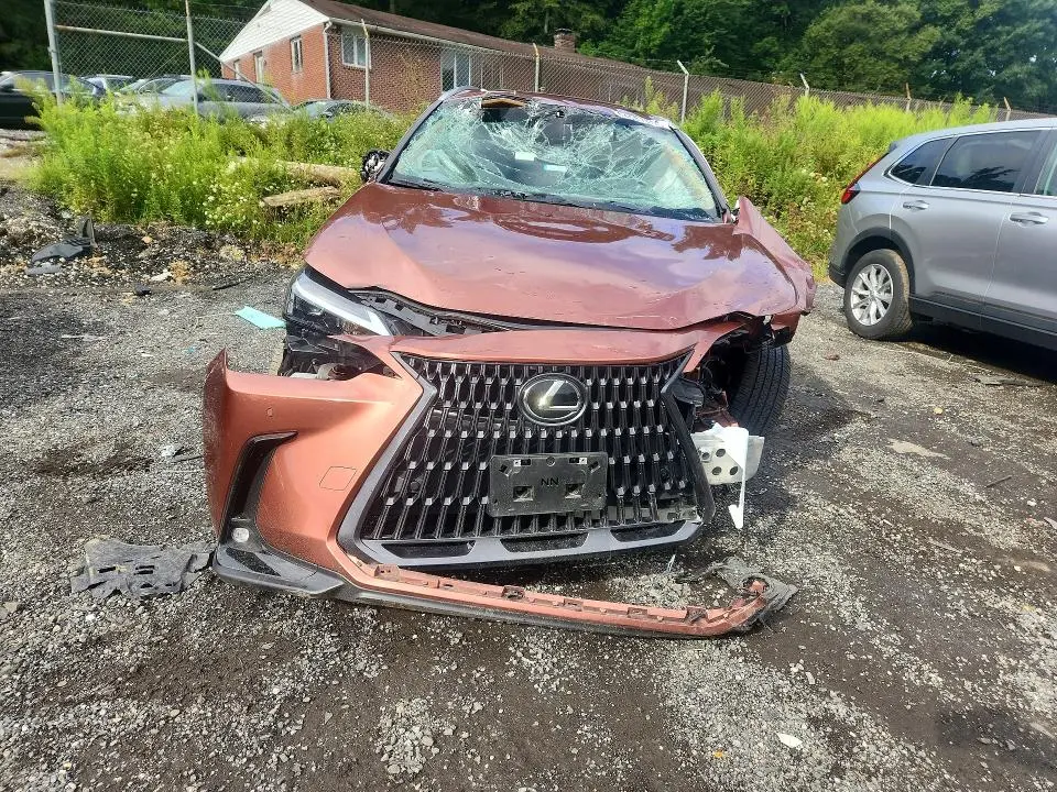 2025 LEXUS NX 350 PREMIUM  