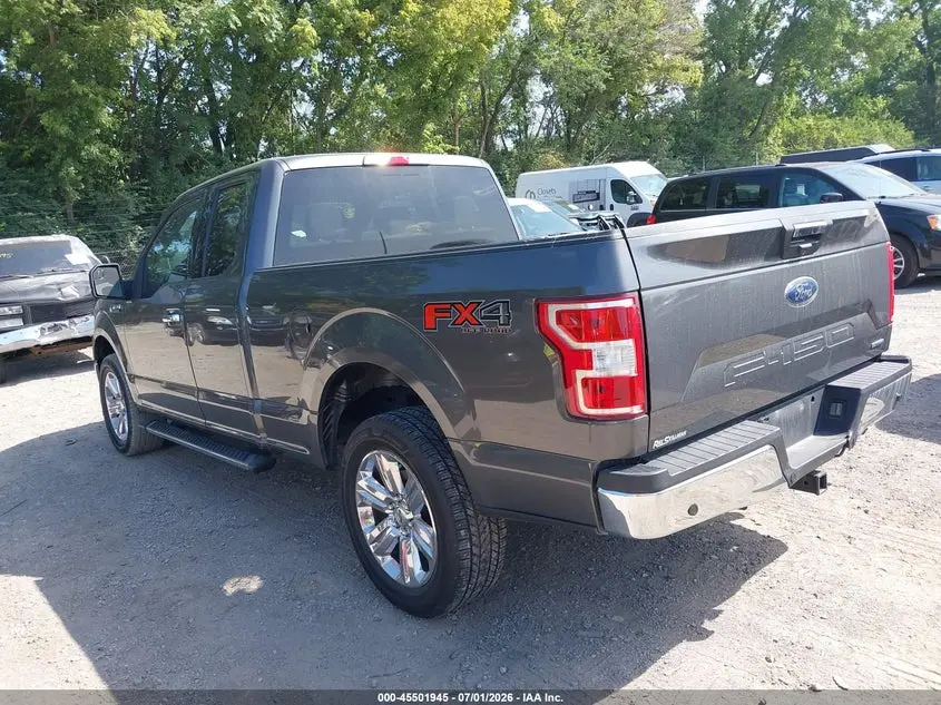 2019 FORD F-150 XLT
