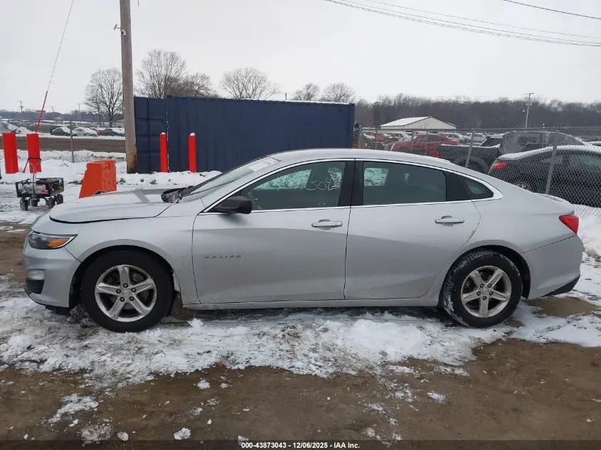 2019 CHEVROLET MALIBU 1FL