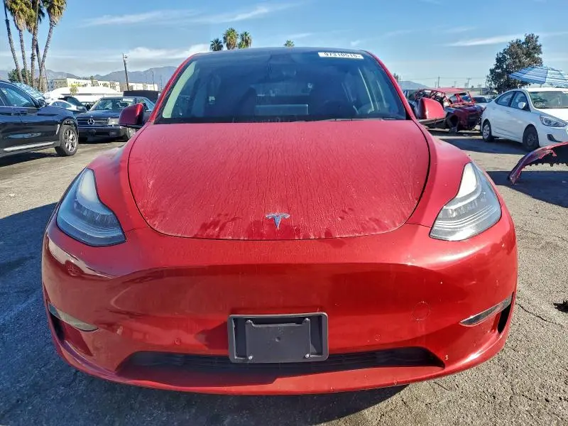 2021 TESLA MODEL Y   