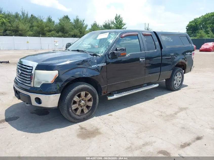 2010 FORD F-150 FX4/LARIAT/XL/XLT