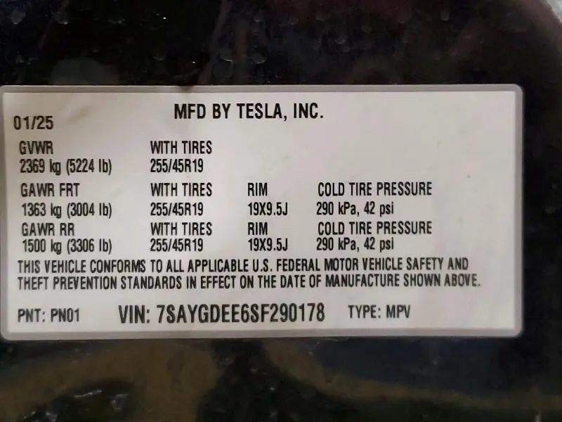 2025 TESLA MODEL Y   
