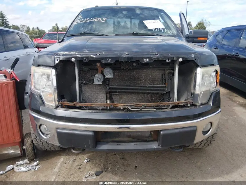 2010 FORD F-150 XL/XLT
