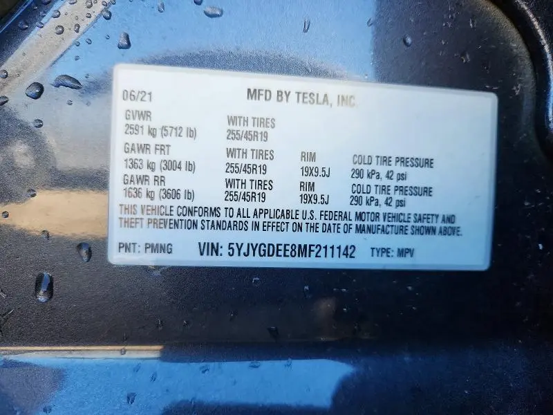2021 TESLA MODEL Y   