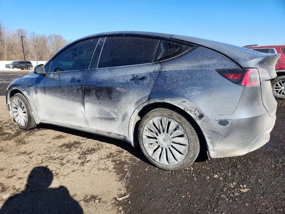 2021 TESLA MODEL Y   