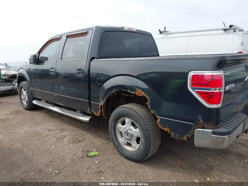 2013 FORD F-150 XLT