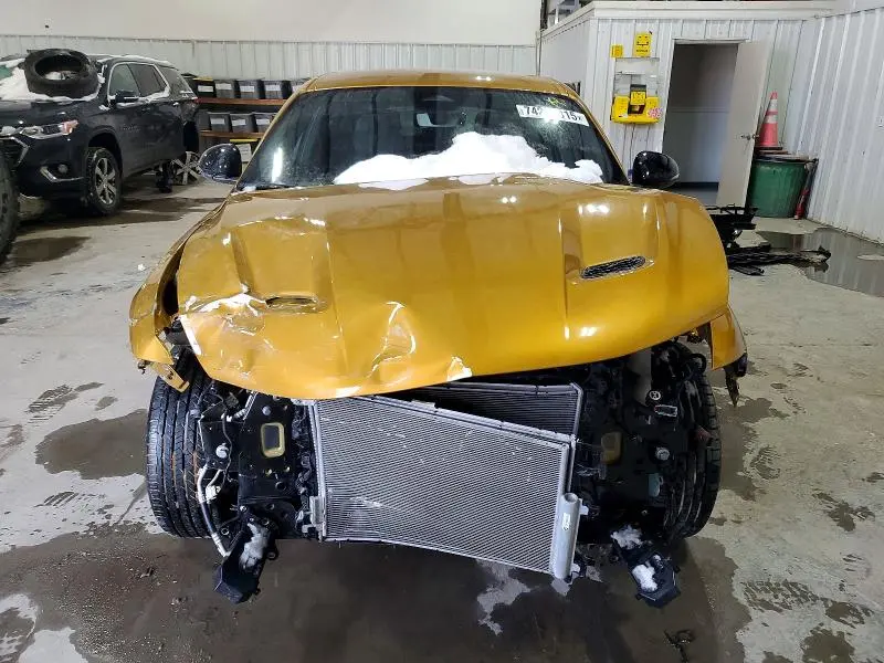 2024 DODGE HORNET R/T  