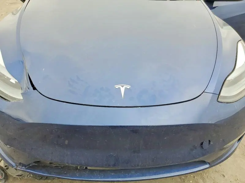 2025 TESLA MODEL Y   