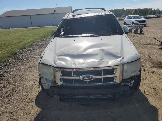 2010 FORD ESCAPE LIMITED  