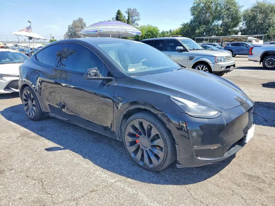 2023 TESLA MODEL Y   