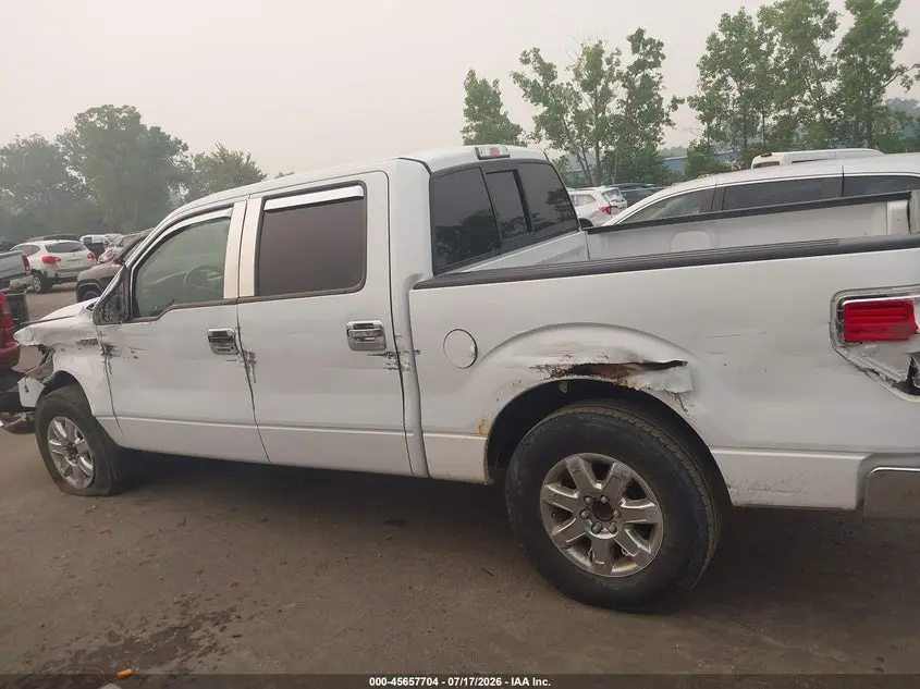 2014 FORD F-150 XLT