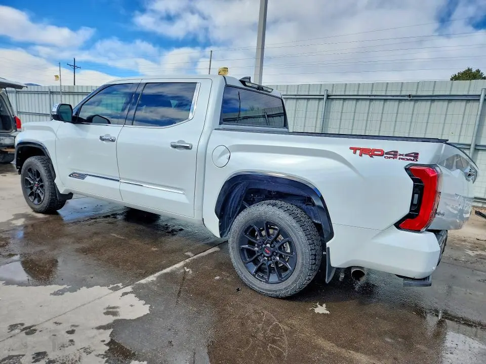 2022 TOYOTA TUNDRA 1794 EDITION  