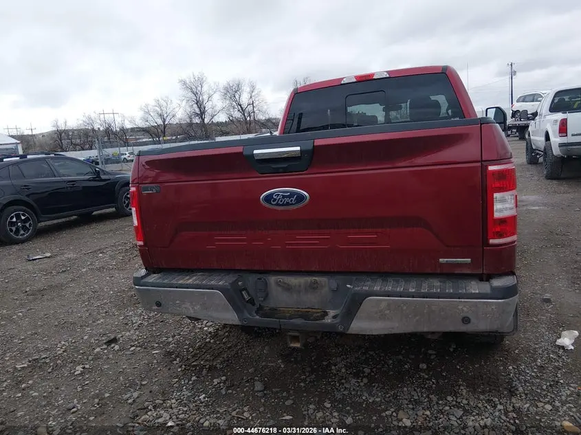2019 FORD F-150 XLT