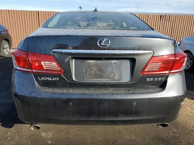 2010 LEXUS ES 350  