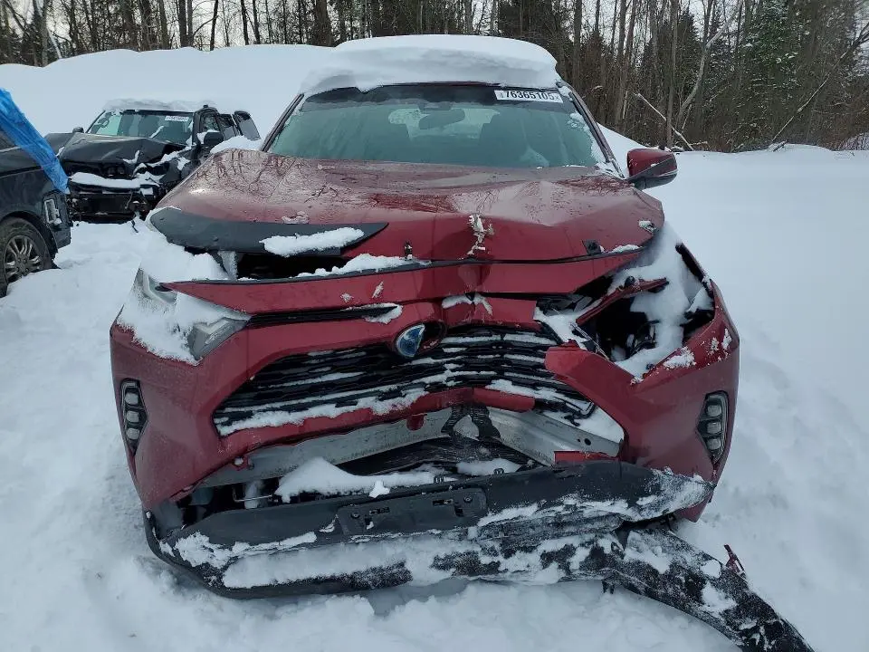 2023 TOYOTA RAV4 XLE  