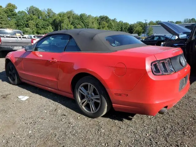 2014 FORD MUSTANG   
