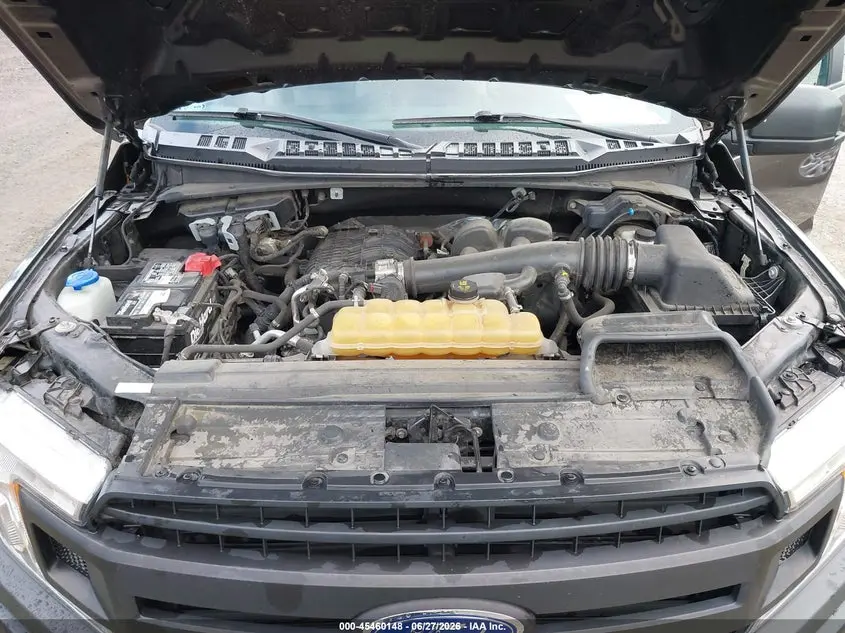 2020 FORD F-150 XL/XLT
