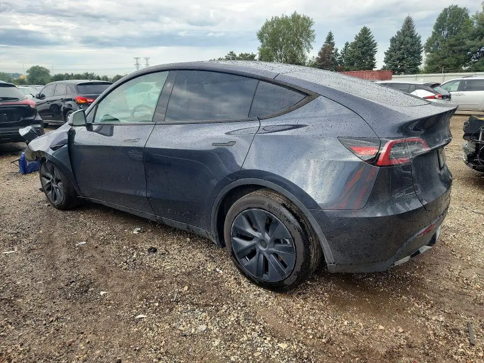 2025 TESLA MODEL Y   