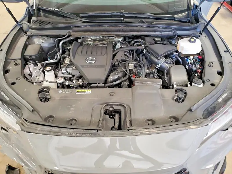 2025 LEXUS RX 500H F SPORT  