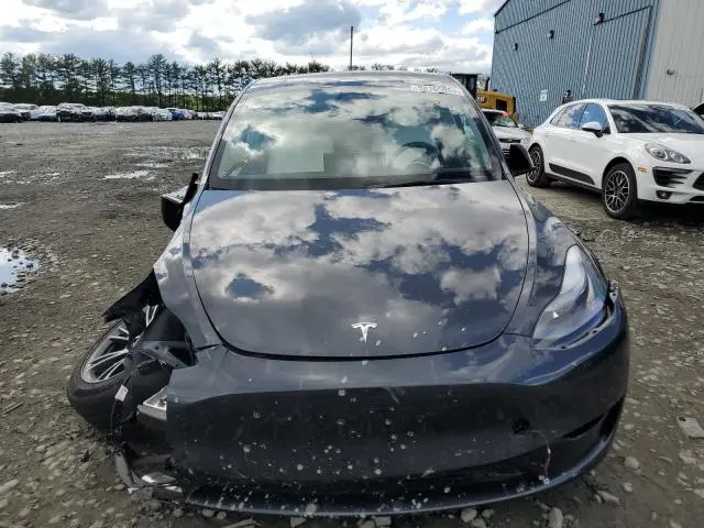 2025 TESLA MODEL Y   