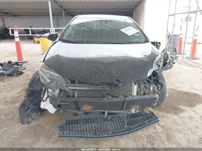 2019 TOYOTA COROLLA LE