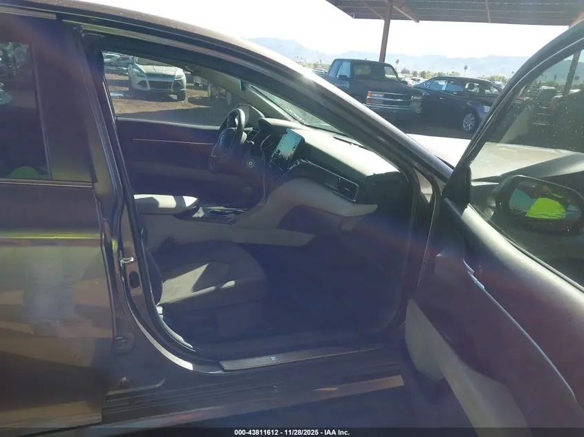 2023 TOYOTA CAMRY LE