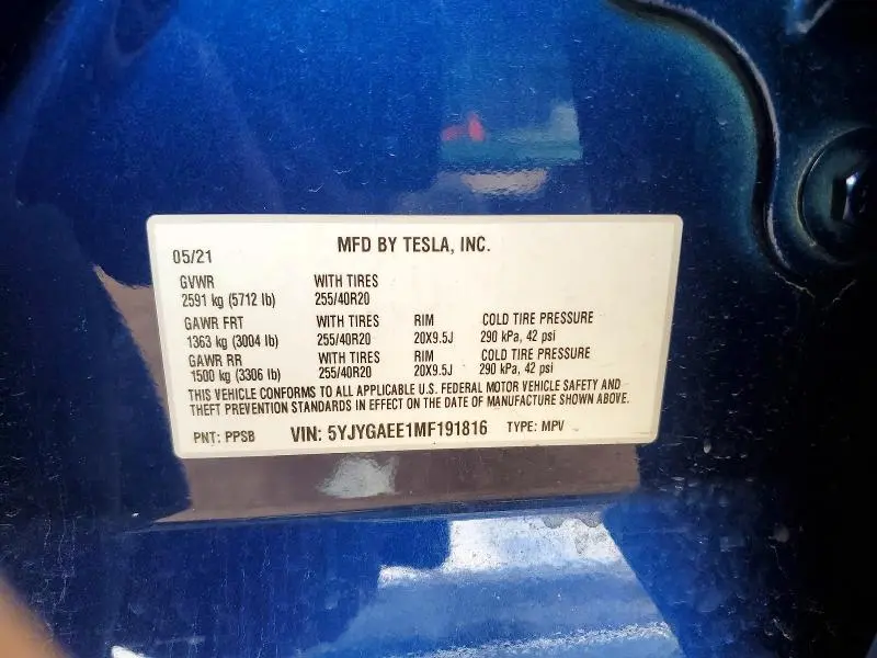 2021 TESLA MODEL Y   