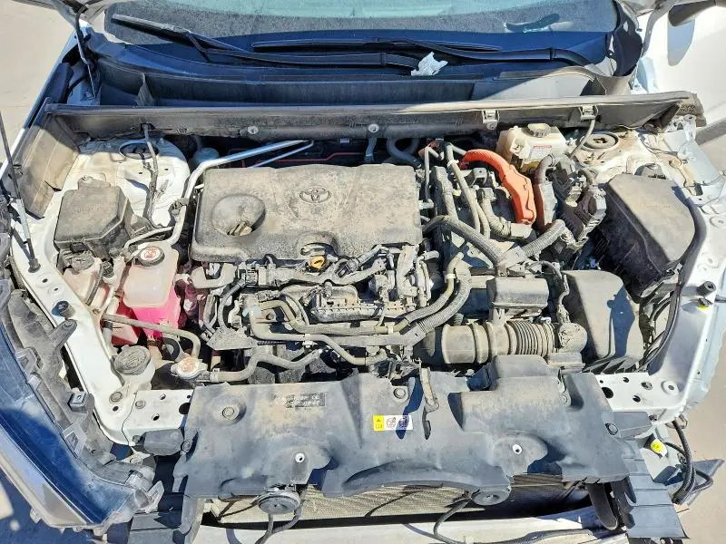 2019 TOYOTA RAV4 XSE  